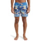 Quiksilver Ανδρικό μαγιό Everyday Straight 15" - Swim Shorts